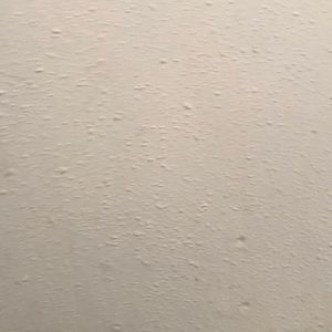 Meet your Posher, Abelardo